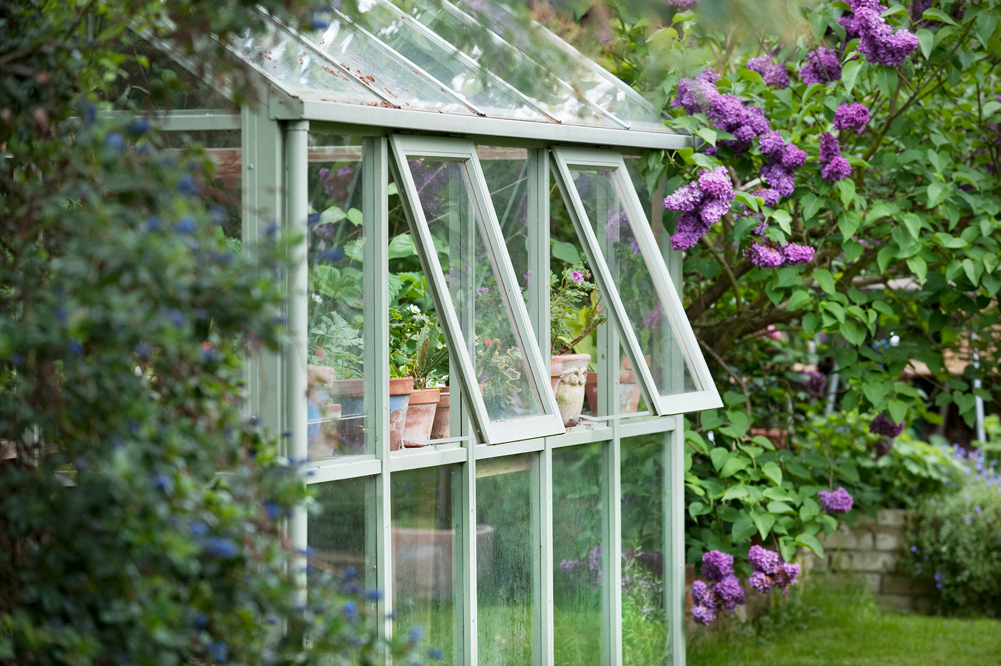 Close up of greenhouse windows in back garden