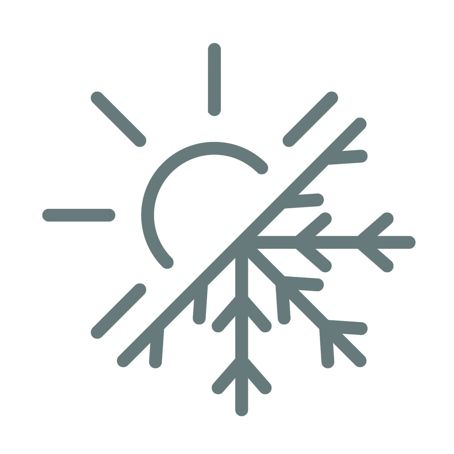 Weather Resistant Icon