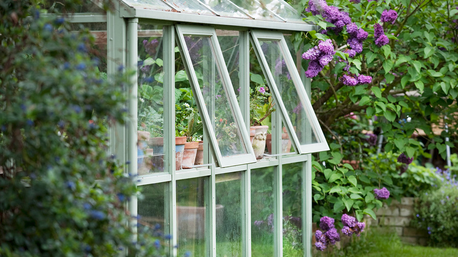 Greenhouse Windows