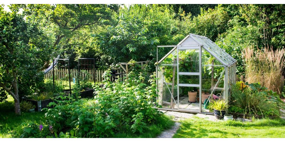 cleaning greenhouse glass