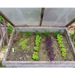 Cold Frame Glazing