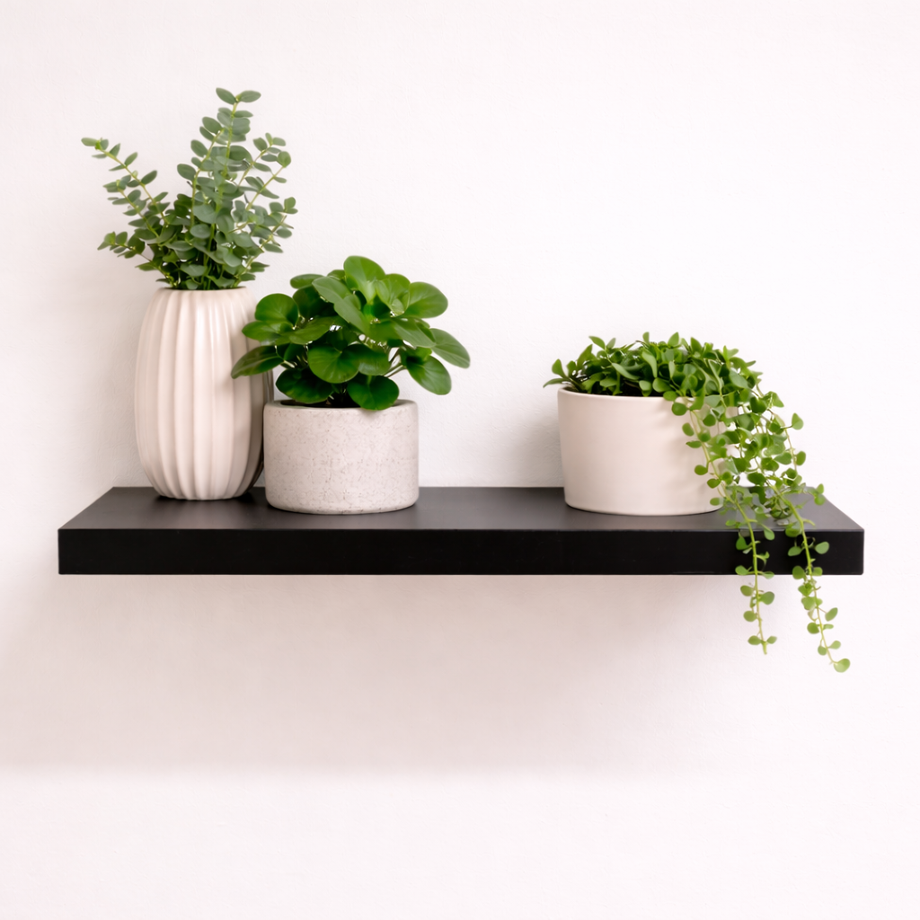 Floating Shelves