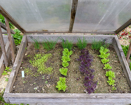 Clear acrylic for cold frame glazing