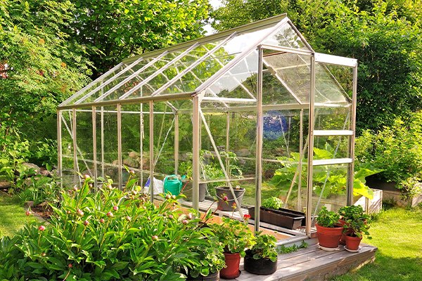 Greenhouse Window Replacement Guide