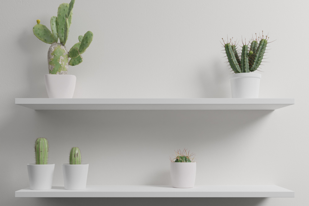 Floating Shelves