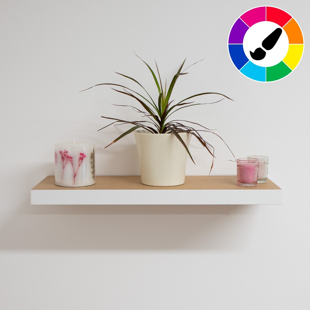 Floating shelf with bowl and plant